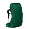 Osprey Rook 50 Mallard Green