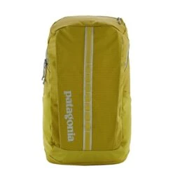 Patagonia Black Hole Pack 25L Shrub Green