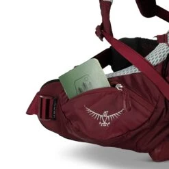 Osprey Aura AG LT 65 WM/L Antidote Purple -Mode Tassen Winkel image 11910