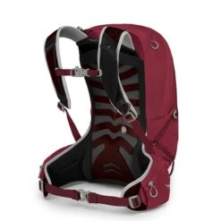 Osprey Talon 22 Backpack L/XL Cosmic Red -Mode Tassen Winkel image 12328