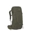 Osprey Kestrel 38 S/M Bonsai Green