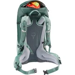 Deuter Futura 24 SL Backpack Forest-jade -Mode Tassen Winkel image 13439