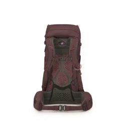 Osprey Kyte 38 WM/L Elderberry Purple -Mode Tassen Winkel image 13791