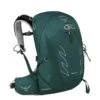 Osprey Tempest 20 Women's Backpack M/L Jasper Green