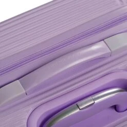 Daniel Ray Baltimore Trolley L Lila -Mode Tassen Winkel image 1889