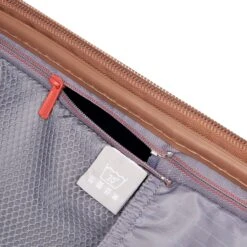 Delsey Promenade Hard 2.0 Expandable Trolley 76 Argent -Mode Tassen Winkel image 1971