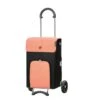 Andersen Scala Shopper Ipek Boodschappentrolley Abricot