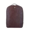 FMME. Claire 13.3 Backpack Croco Brown